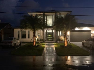 Modern house entrance illuminated at night with palm trees and wet driveway.