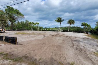 Cleared sandy land with palm trees under a cloudy sky.