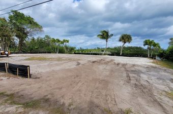 Cleared sandy land with palm trees under a cloudy sky.