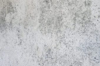 Close-up of a rough, textured concrete surface with gray and white tones.