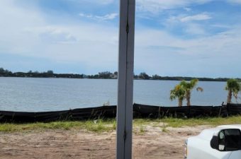 A lakeside view with a white car and palm trees under a cloudy sky.